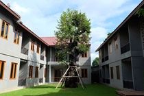 Chu Hotel Chiang Mai